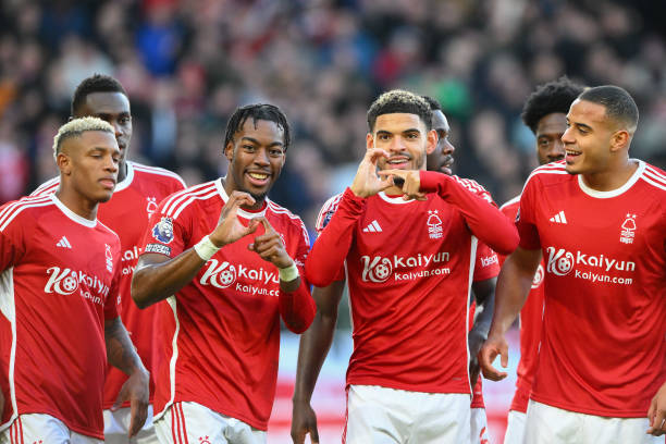 不仅增强了 不仅增强了